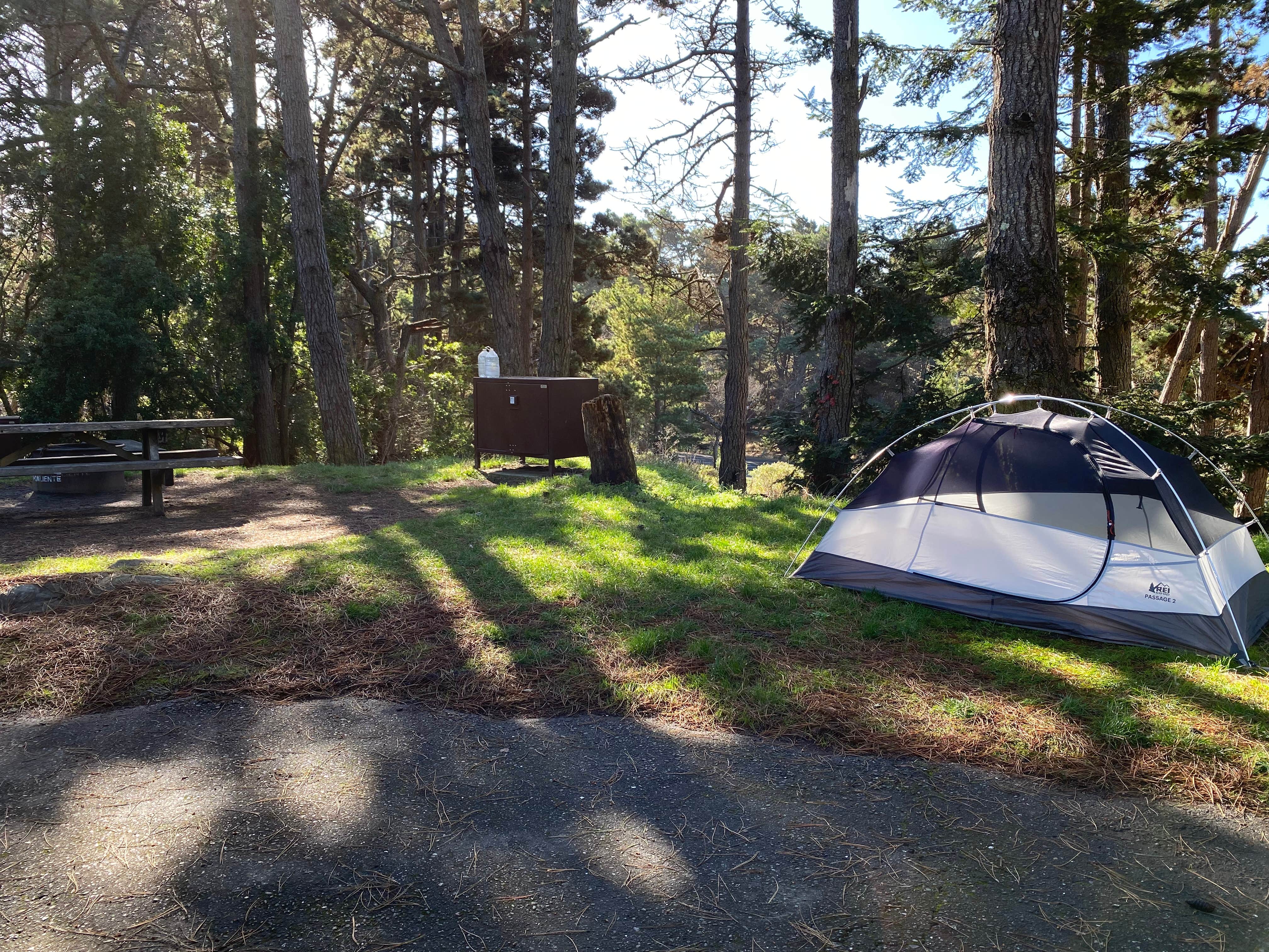 Camper-submitted photo at Stillwater Cove Regional Park near Cazadero, CA