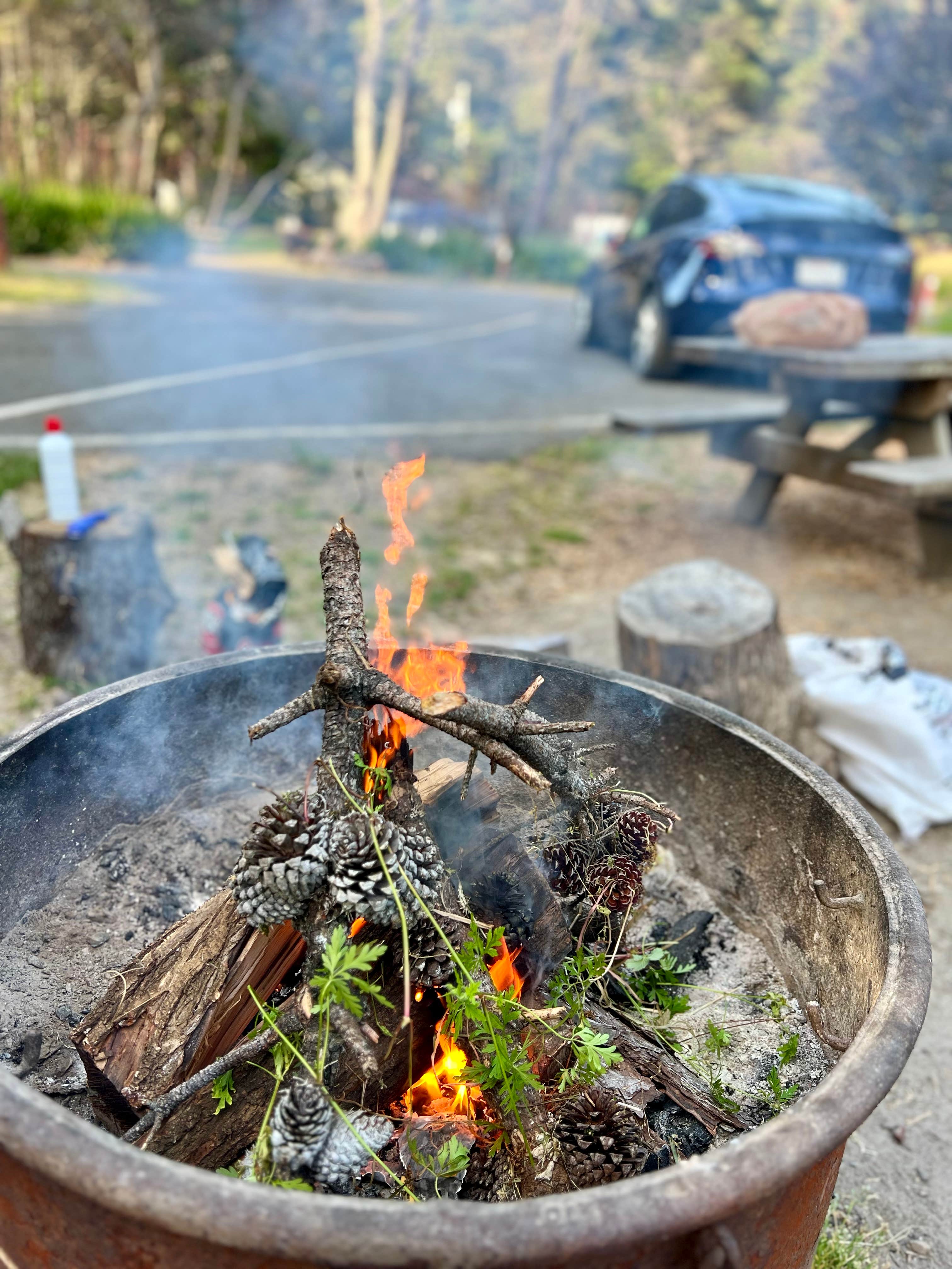 Camper-submitted photo at Stillwater Cove Regional Park near Cazadero, CA
