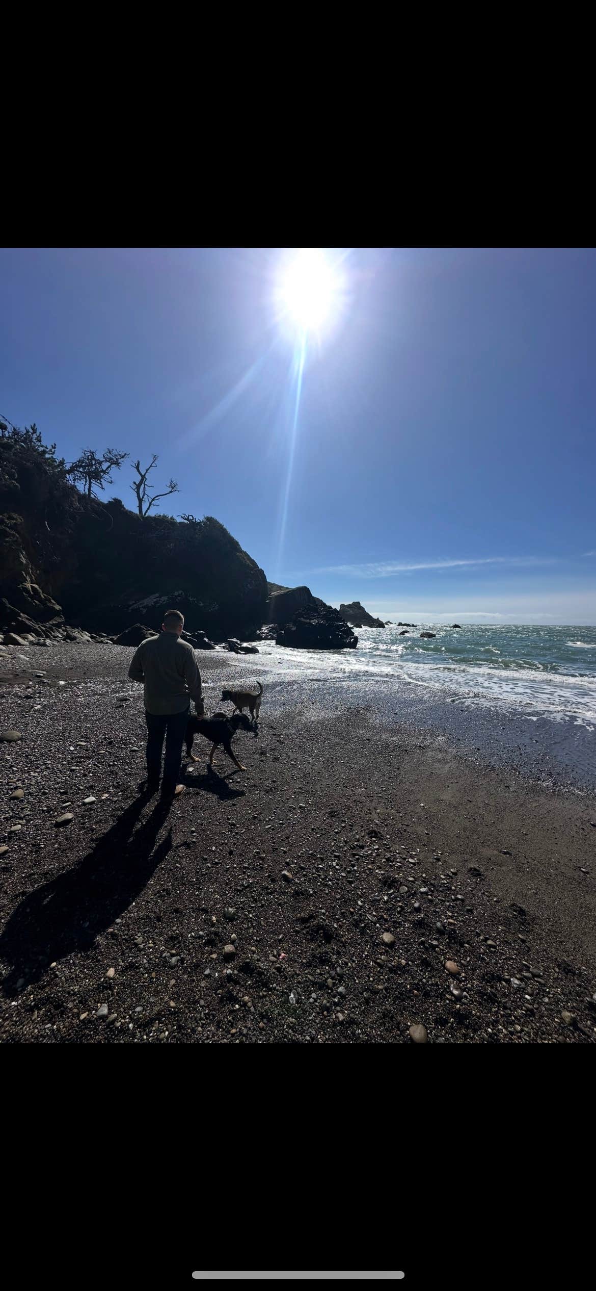 Trevor M.'s photo of camping with pets at Stillwater Cove Regional Park near Bodega Bay, CA