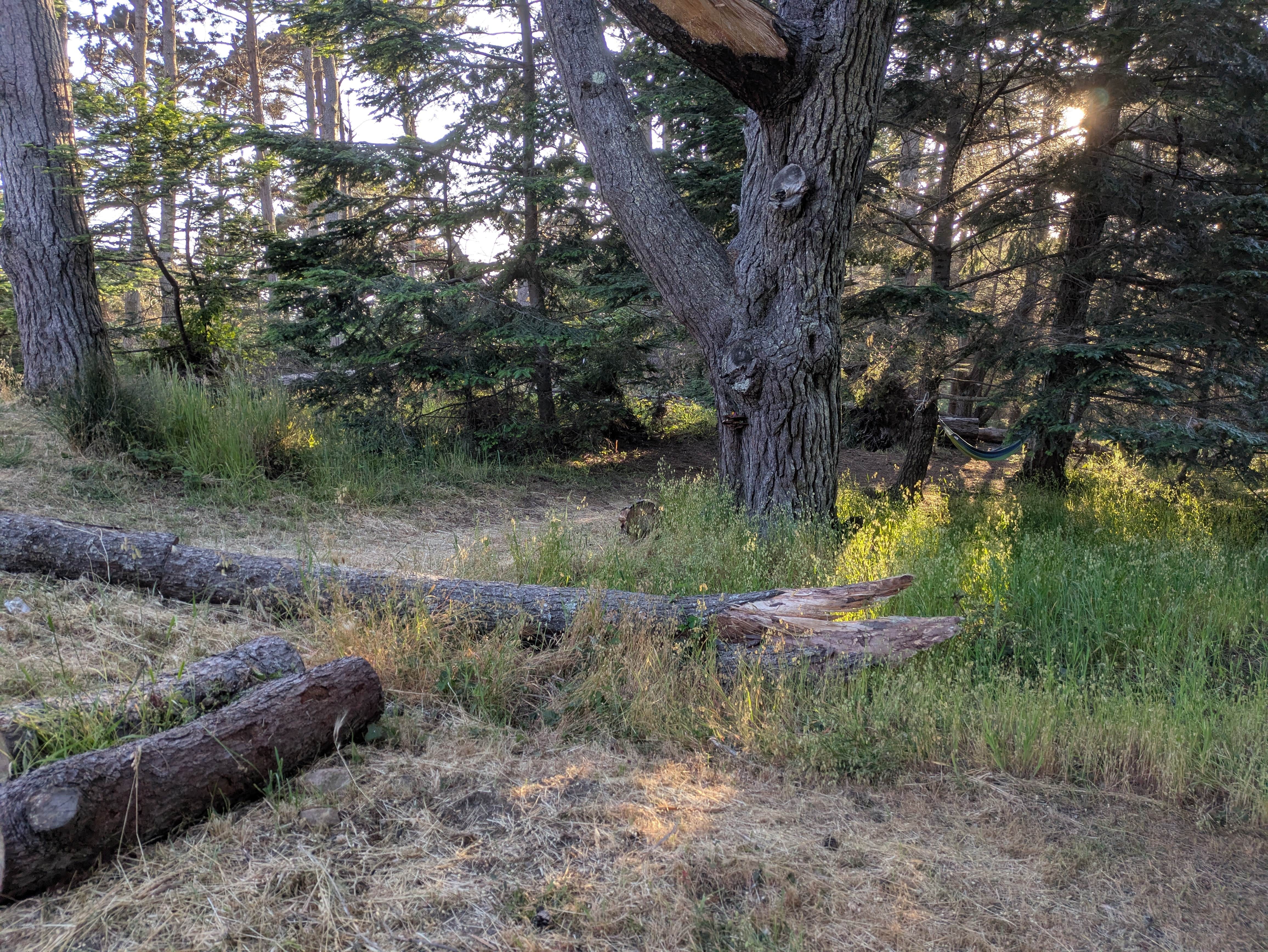 Camper-submitted photo at Stillwater Cove Regional Park near Cazadero, CA