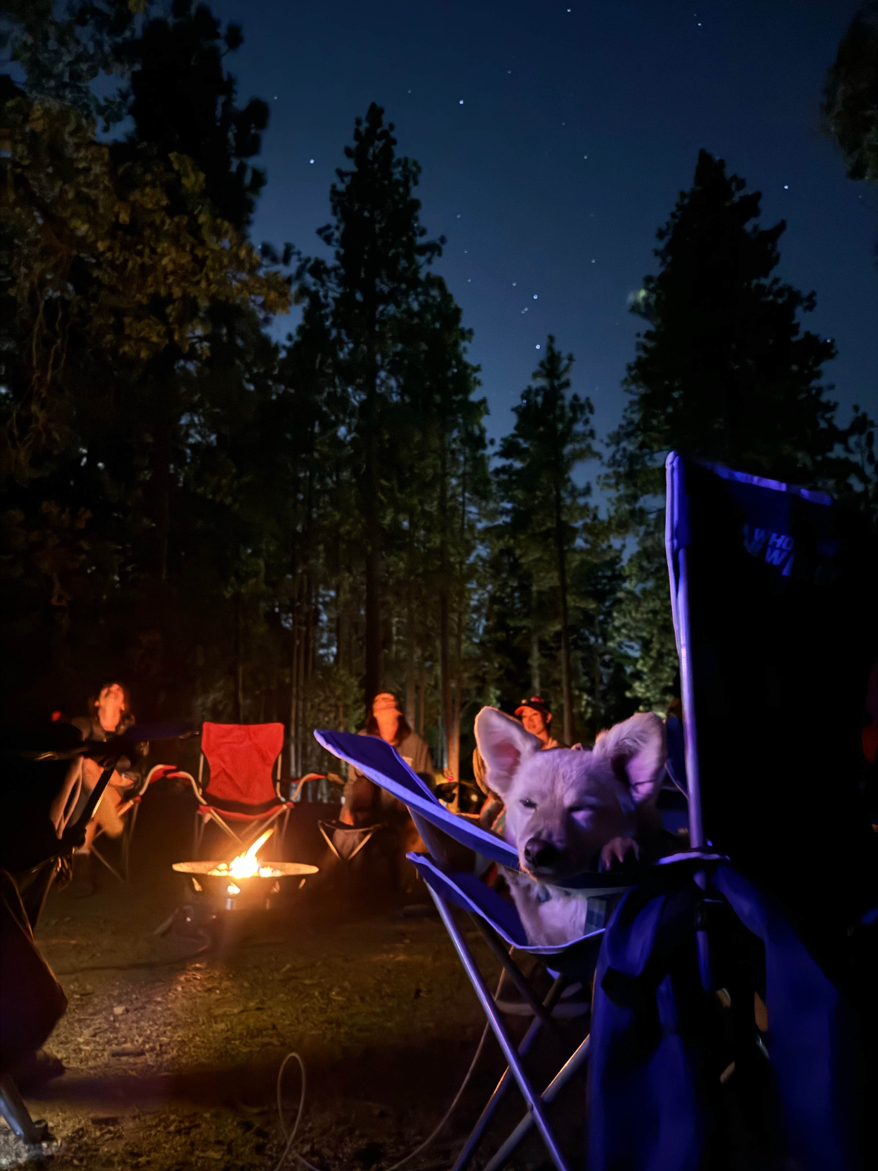 Heather L.'s photo at Stone Creek Campground — Mount San Jacinto State Park near Mountain Center, CA