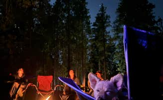 Heather L.'s photo at Stone Creek Campground — Mount San Jacinto State Park near Whitewater, CA