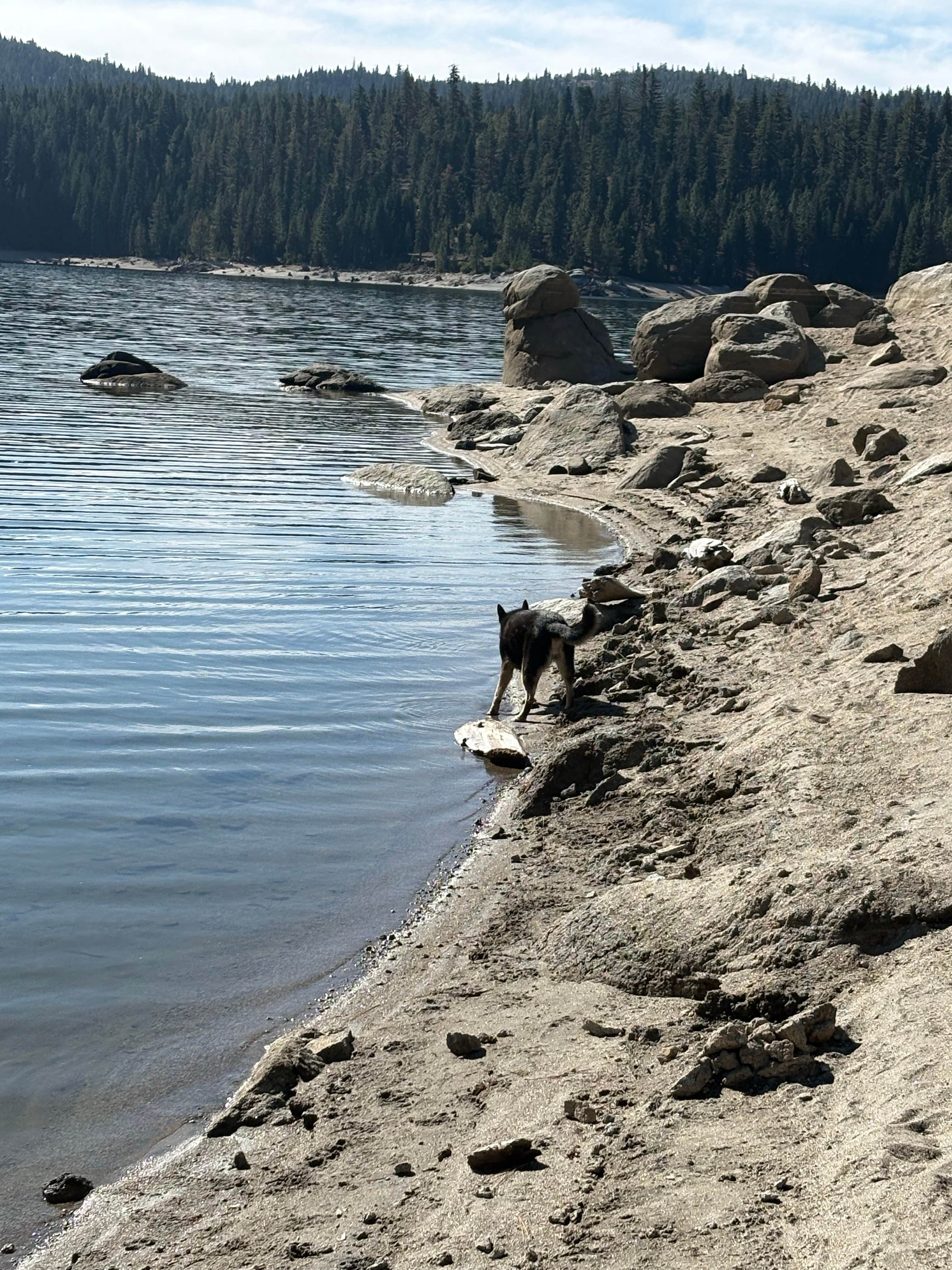 Camper-submitted photo at Strawberry Point Campground near Twin Bridges, CA