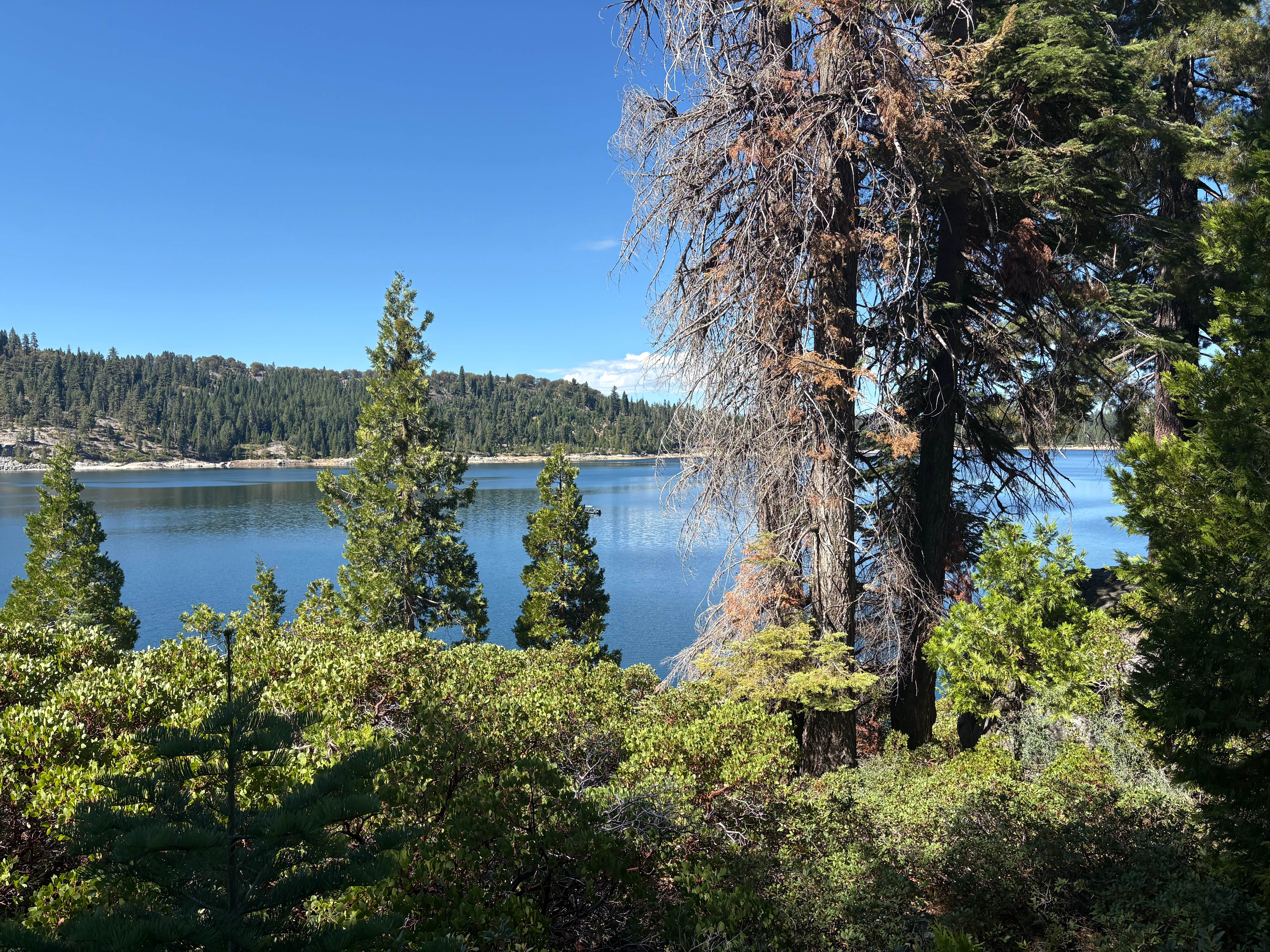 Camper-submitted photo at Strawberry Point Campground near Twin Bridges, CA
