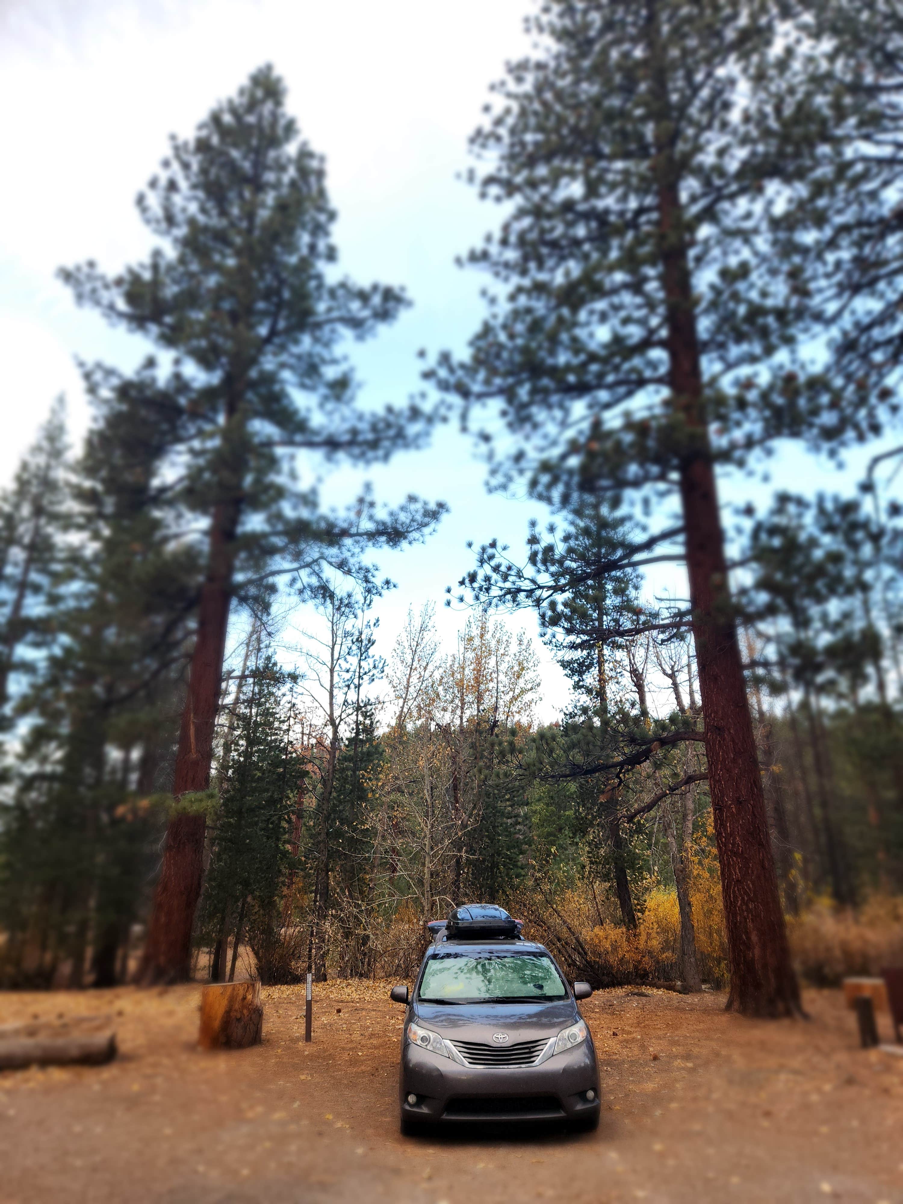 Camper-submitted photo at Sugar Pine Point Campground near West Point, CA