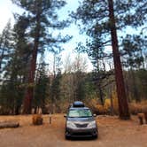 Review photo of Sugar Pine Point Campground by Lauren Hannah G., November 11, 2024