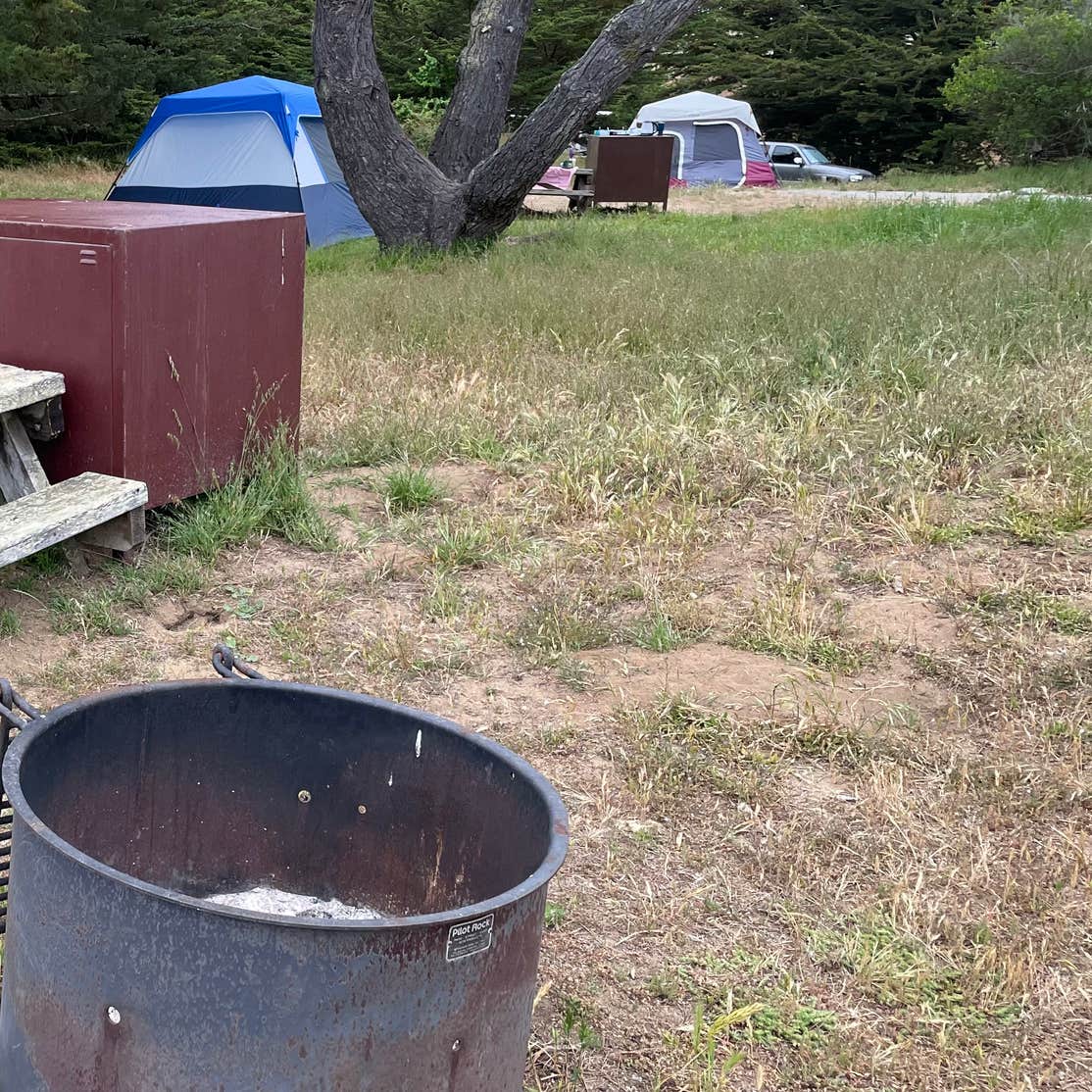 Sunset State Beach Camping | Watsonville, CA