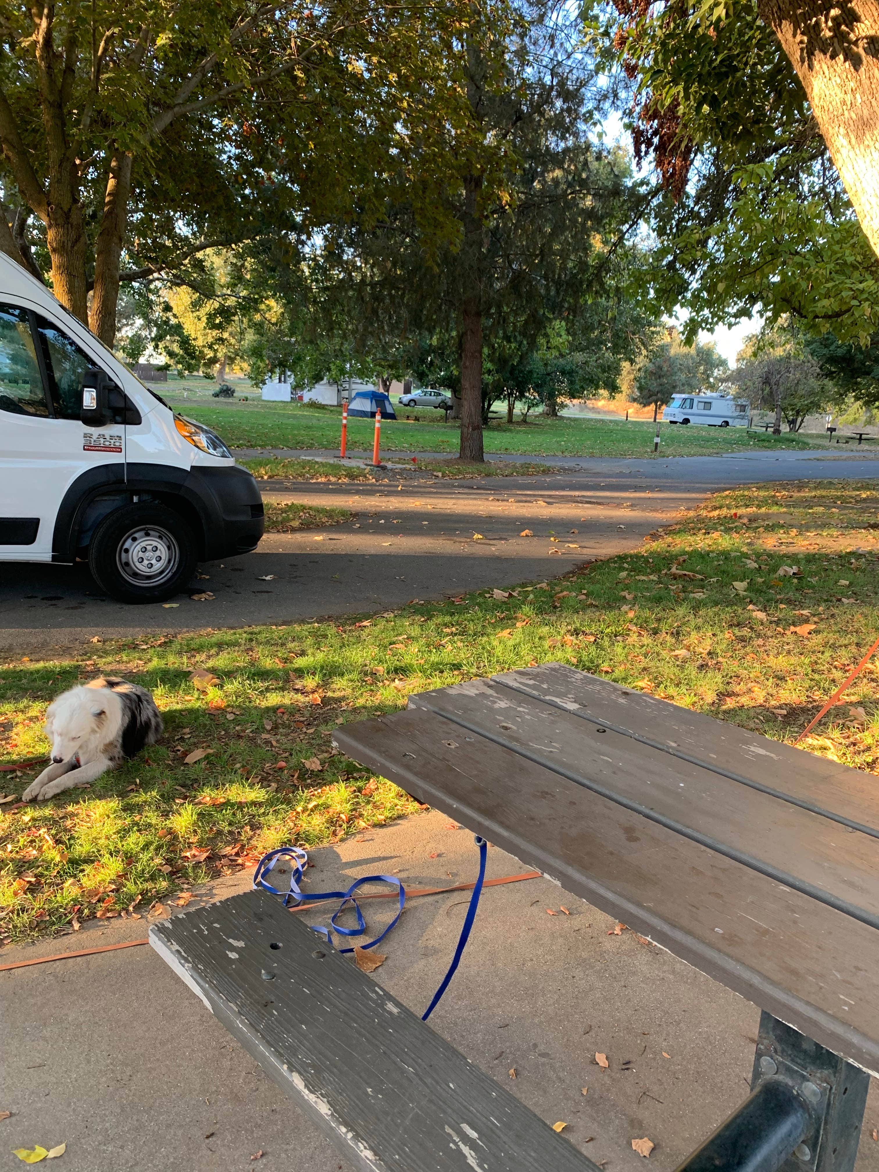 Camper submitted image from Sycamore Grove (red Bluff) Campground - 5