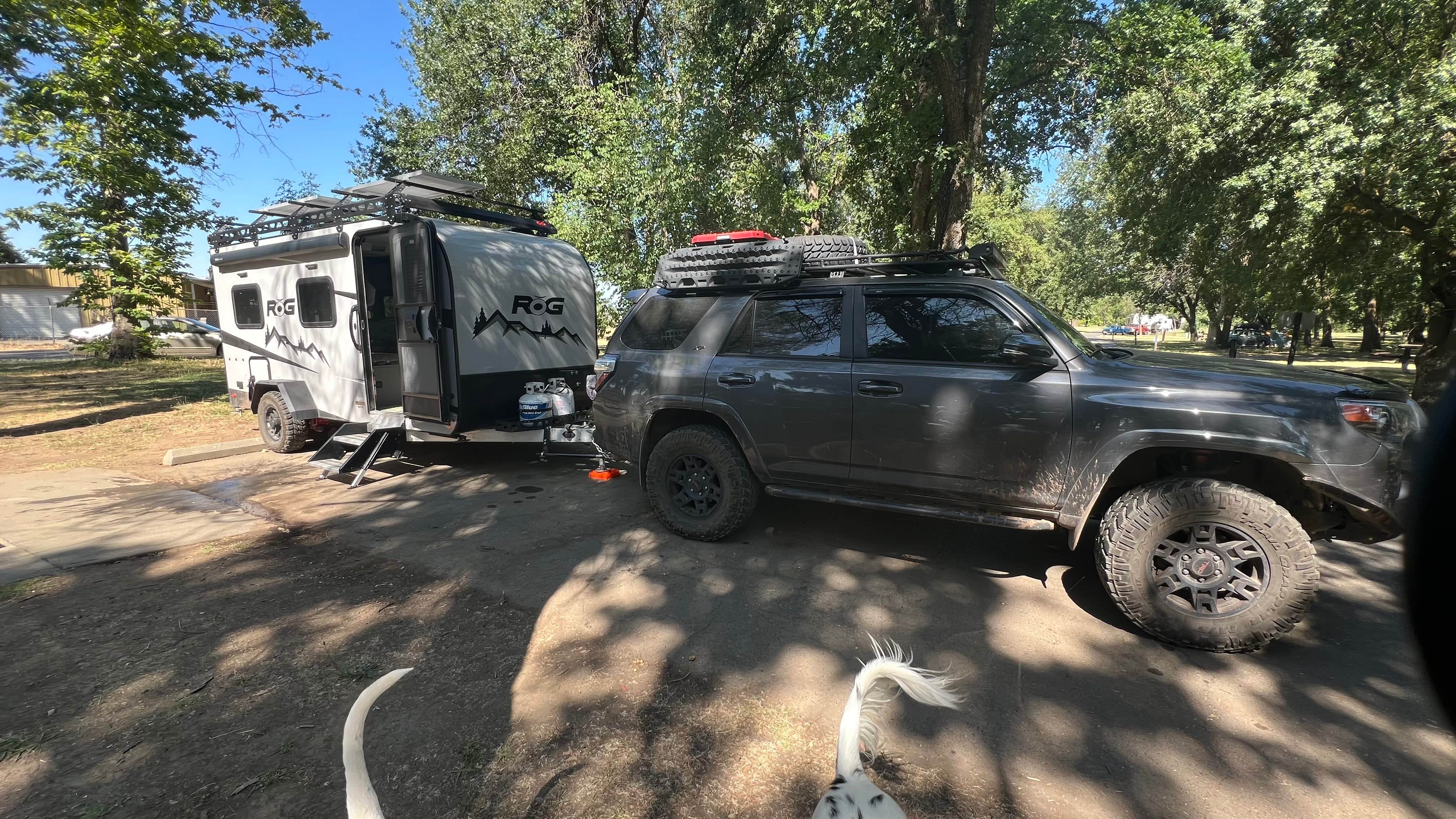 Jules S.'s photo of camping with pets at Sycamore Grove (red Bluff) Campground near Chico, CA