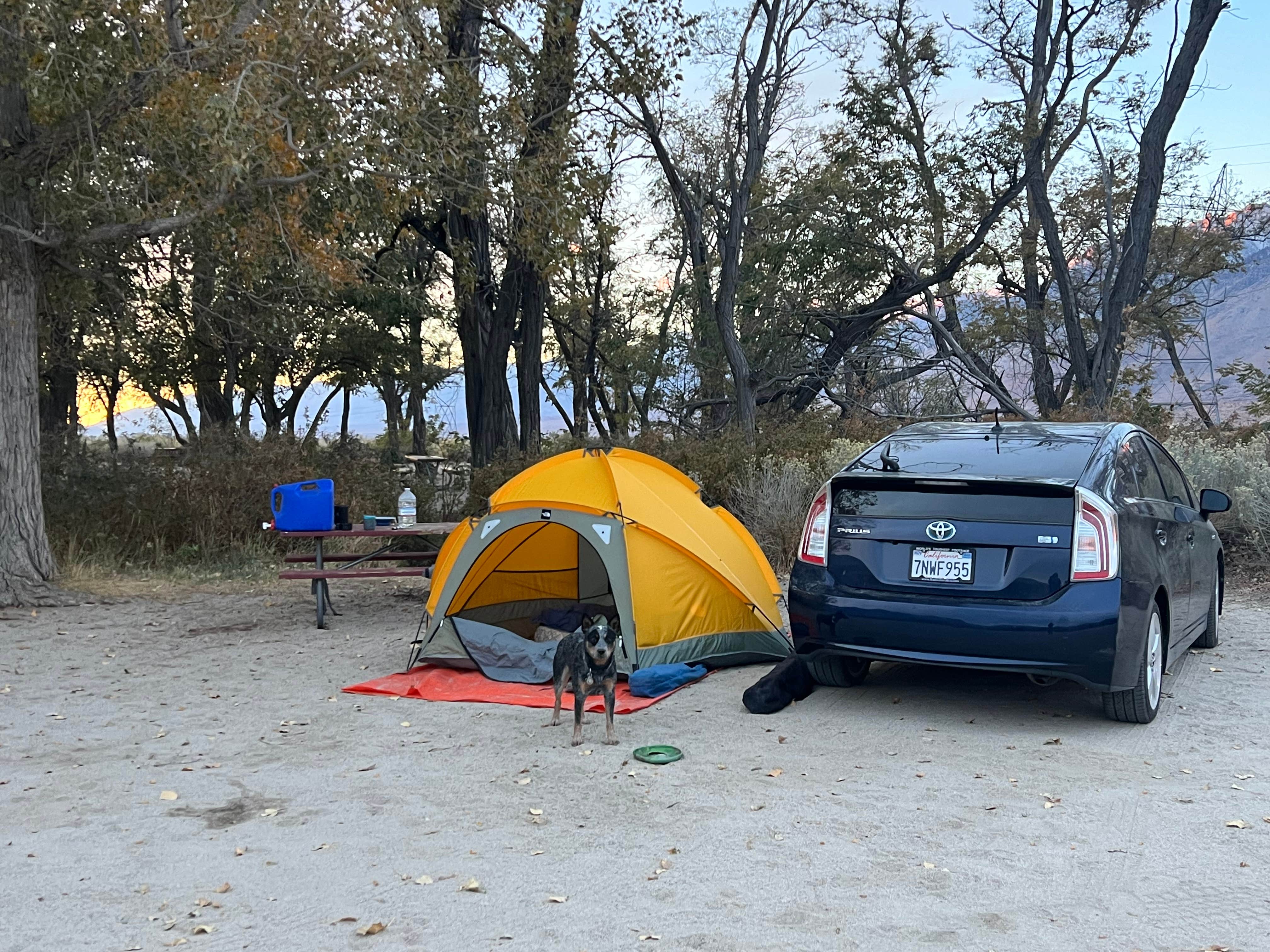 Camper submitted image from Taboose Creek Campground - 1