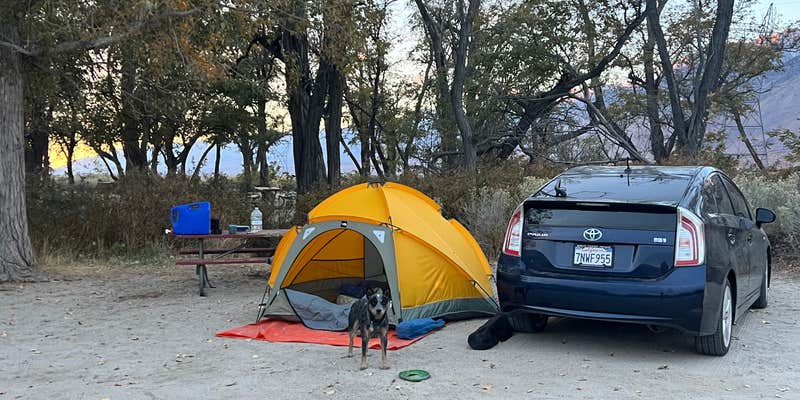 Camper submitted image from Taboose Creek Campground
