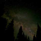 Review photo of Tamarack Flat Campground — Yosemite National Park by Chris C., July 13, 2026