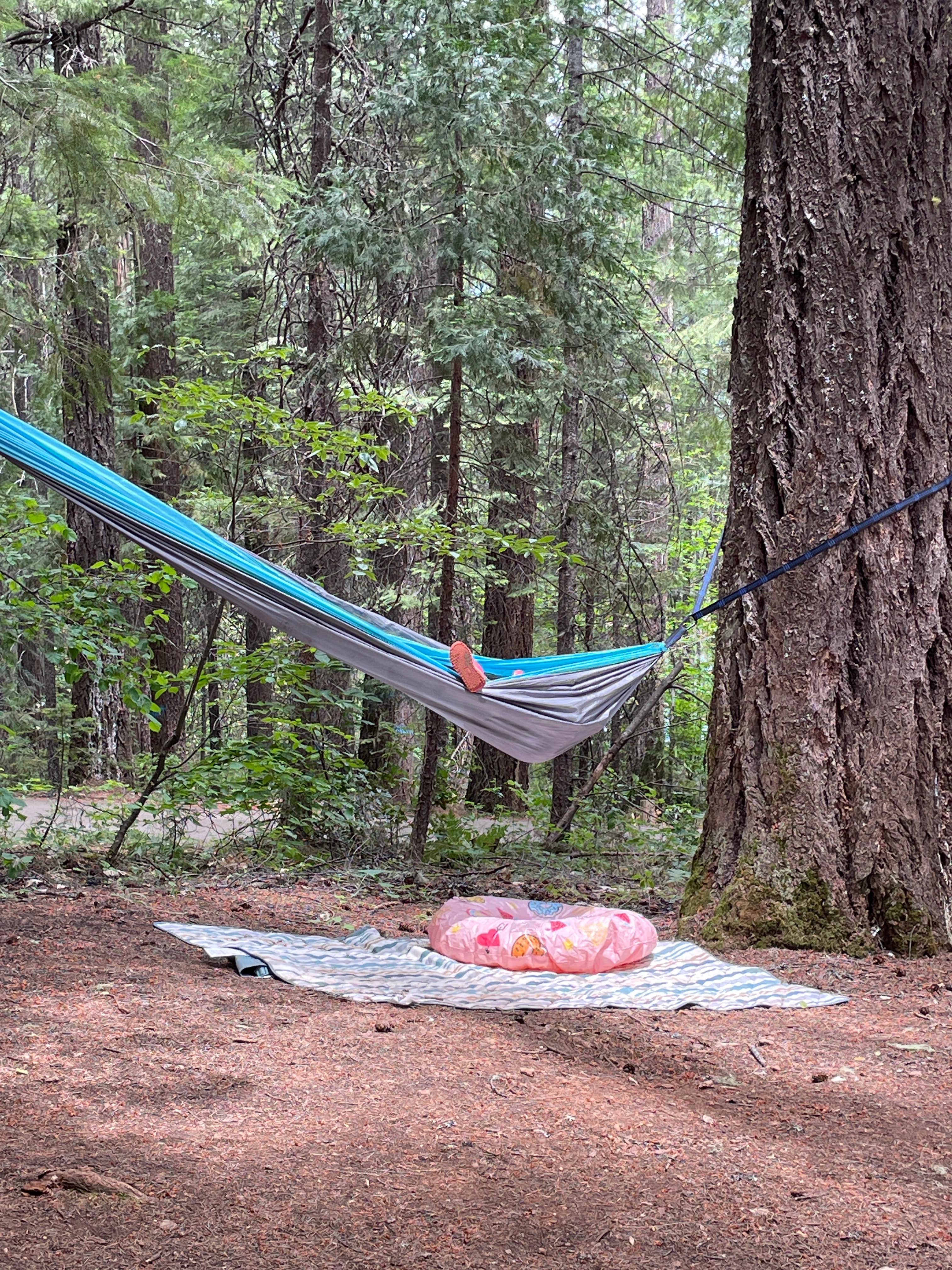 Camper-submitted photo at Tannery near Trinity Center, CA