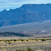 Review photo of Texas Springs Campground — Death Valley National Park by Ursula , February 27, 2026