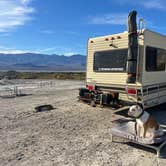 Review photo of Texas Springs Campground — Death Valley National Park by Michell C., December 7, 2024