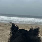 Review photo of Thornhill Broome Beach — Point Mugu State Park by Maria S., June 10, 2025
