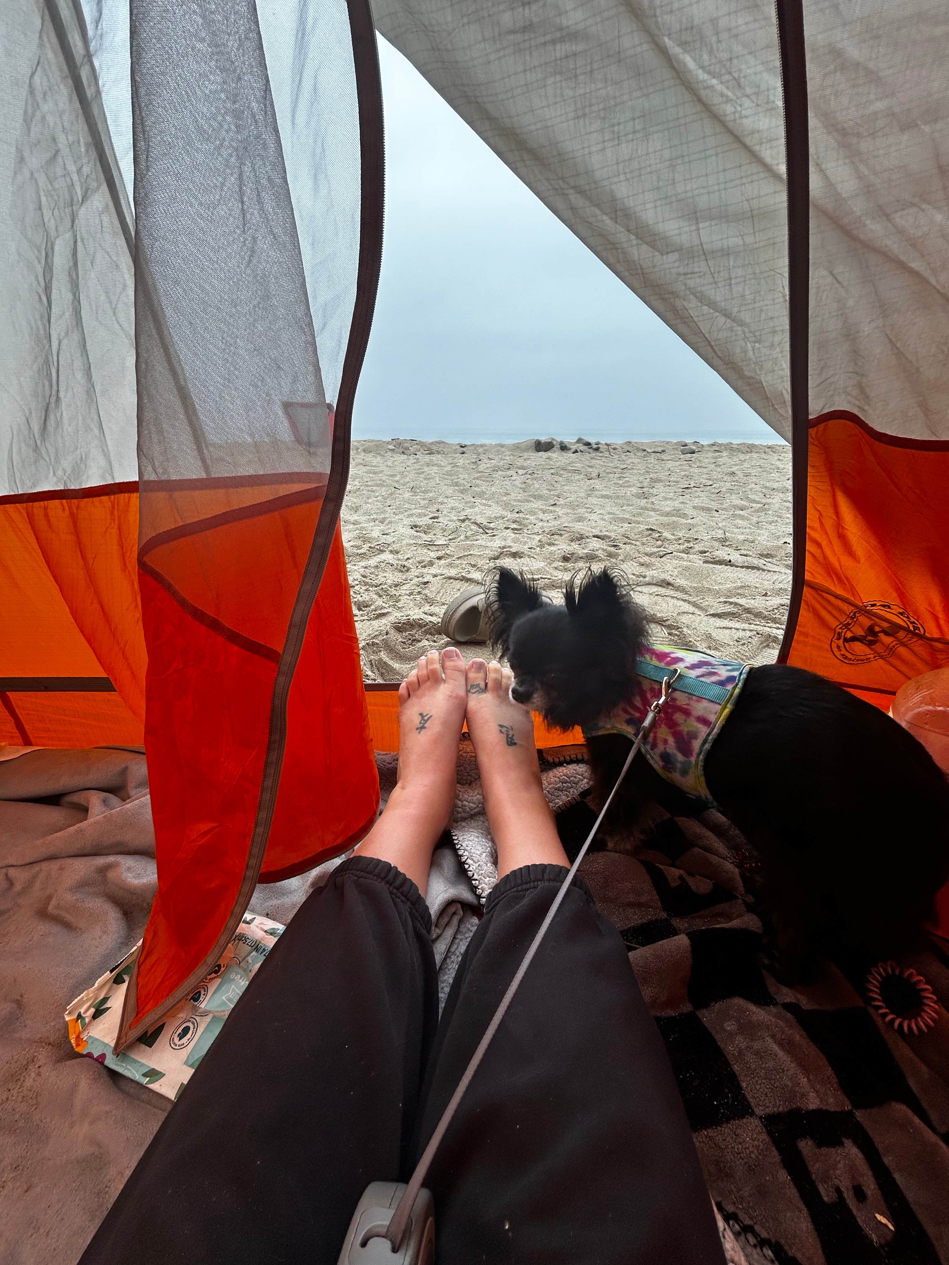 Maria S.'s photo at Thornhill Broome Beach — Point Mugu State Park near Agoura Hills, CA