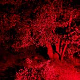 Review photo of Tool Box Springs Campground by Winter T., April 9, 2026