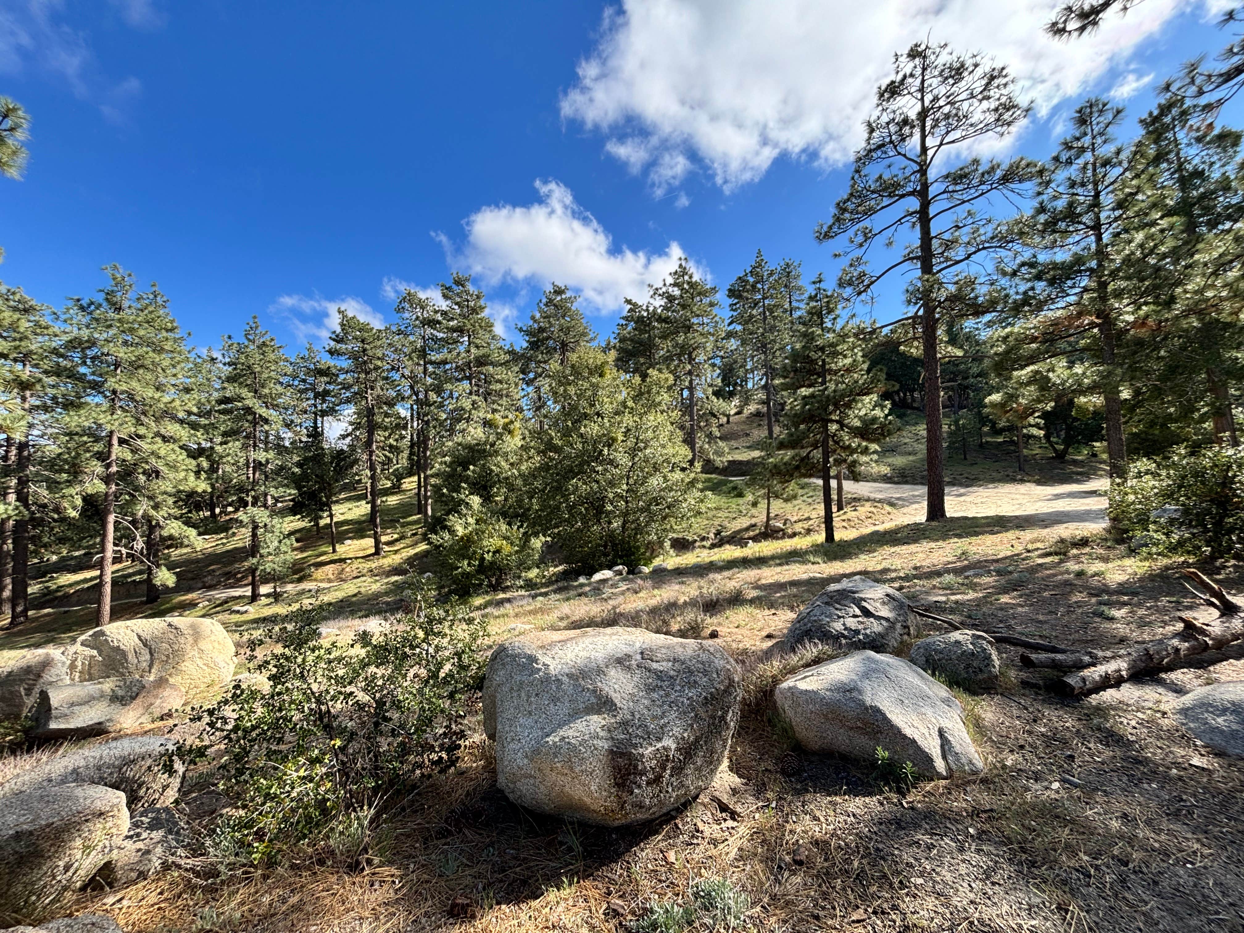 Camper-submitted photo at Tool Box Springs Campground near Anza, CA