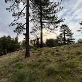 Review photo of Tool Box Springs Campground by Winter T., April 9, 2026