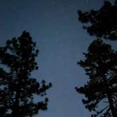 Review photo of Tool Box Springs Campground by Nigel S., August 2, 2026