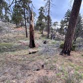 Review photo of Tool Box Springs Campground by Winter T., April 9, 2026