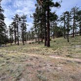 Review photo of Tool Box Springs Campground by Winter T., April 9, 2026