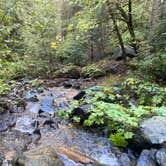 Review photo of Trail Creek Campground by Connie H., October 13, 2025