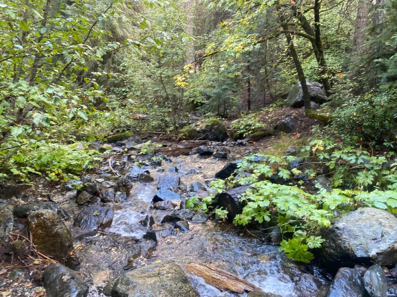 Camper submitted image from Trail Creek Campground - 3