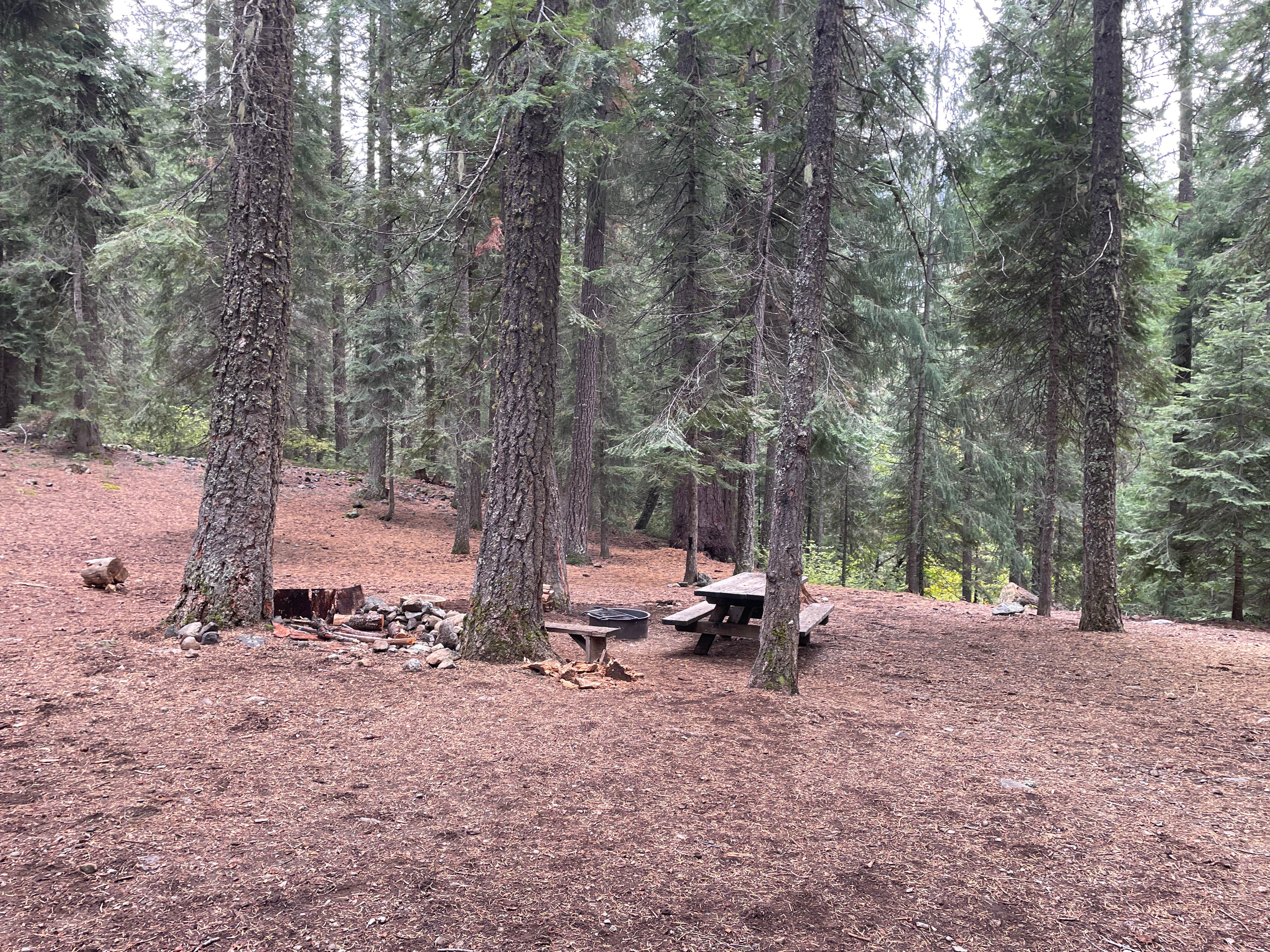 Camper-submitted photo at Trail Creek Campground near Callahan, CA