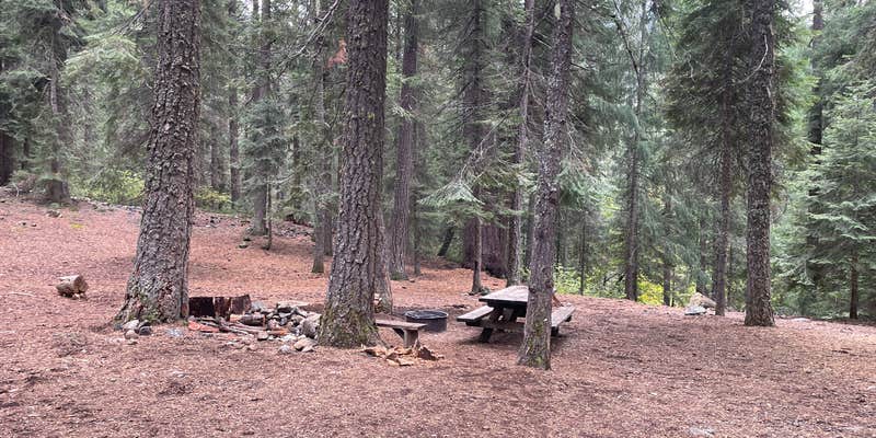 Camper submitted image from Trail Creek Campground
