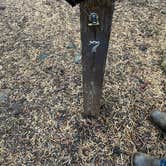 Review photo of Trail Creek Campground by Connie H., October 13, 2025