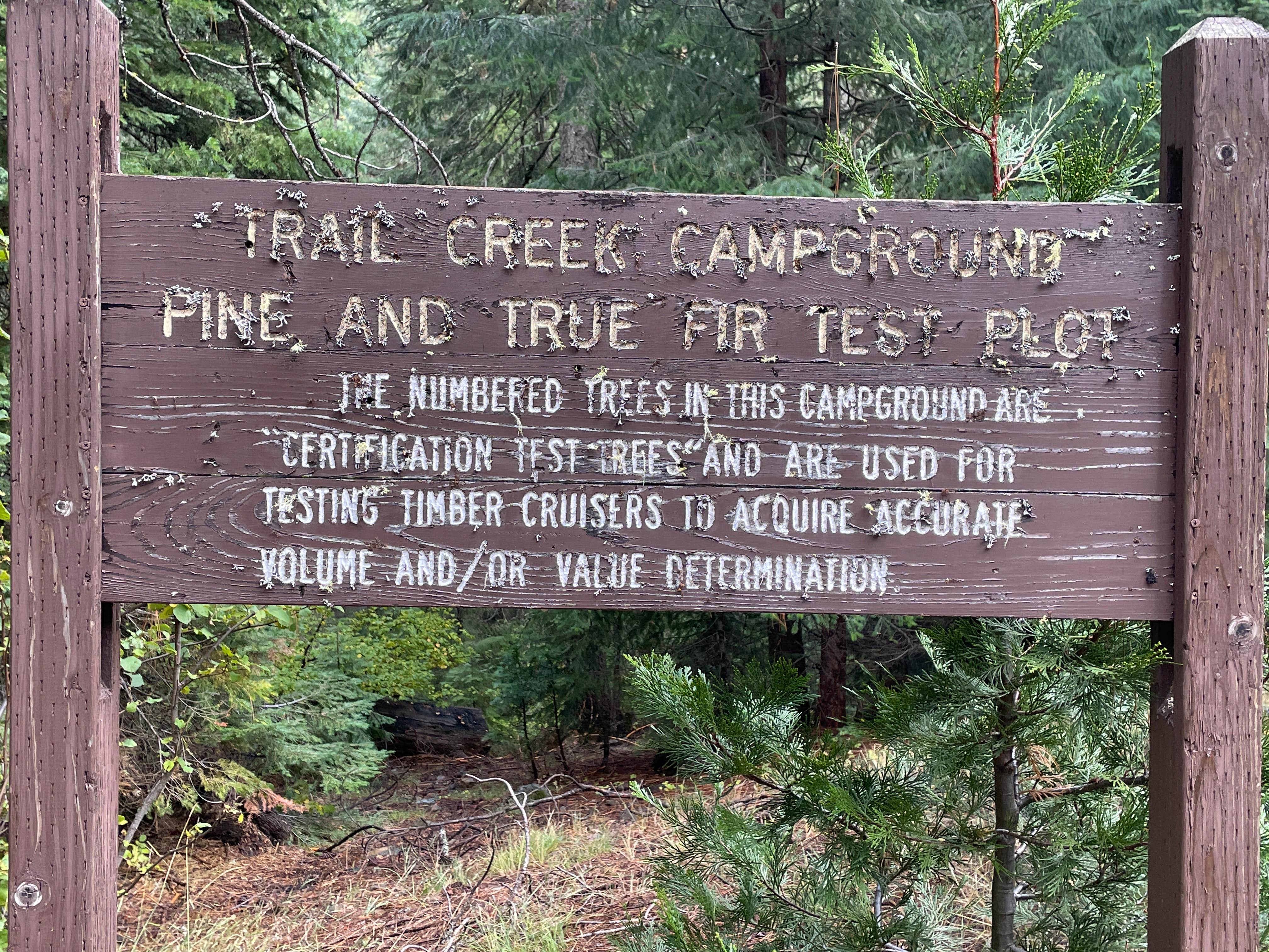 Camper-submitted photo at Trail Creek Campground near Callahan, CA
