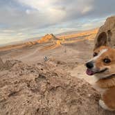 Review photo of Trona Pinnacles by Stephanie F., May 28, 2025