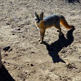 Review photo of Tuff Campground by Mike M., October 5, 2026