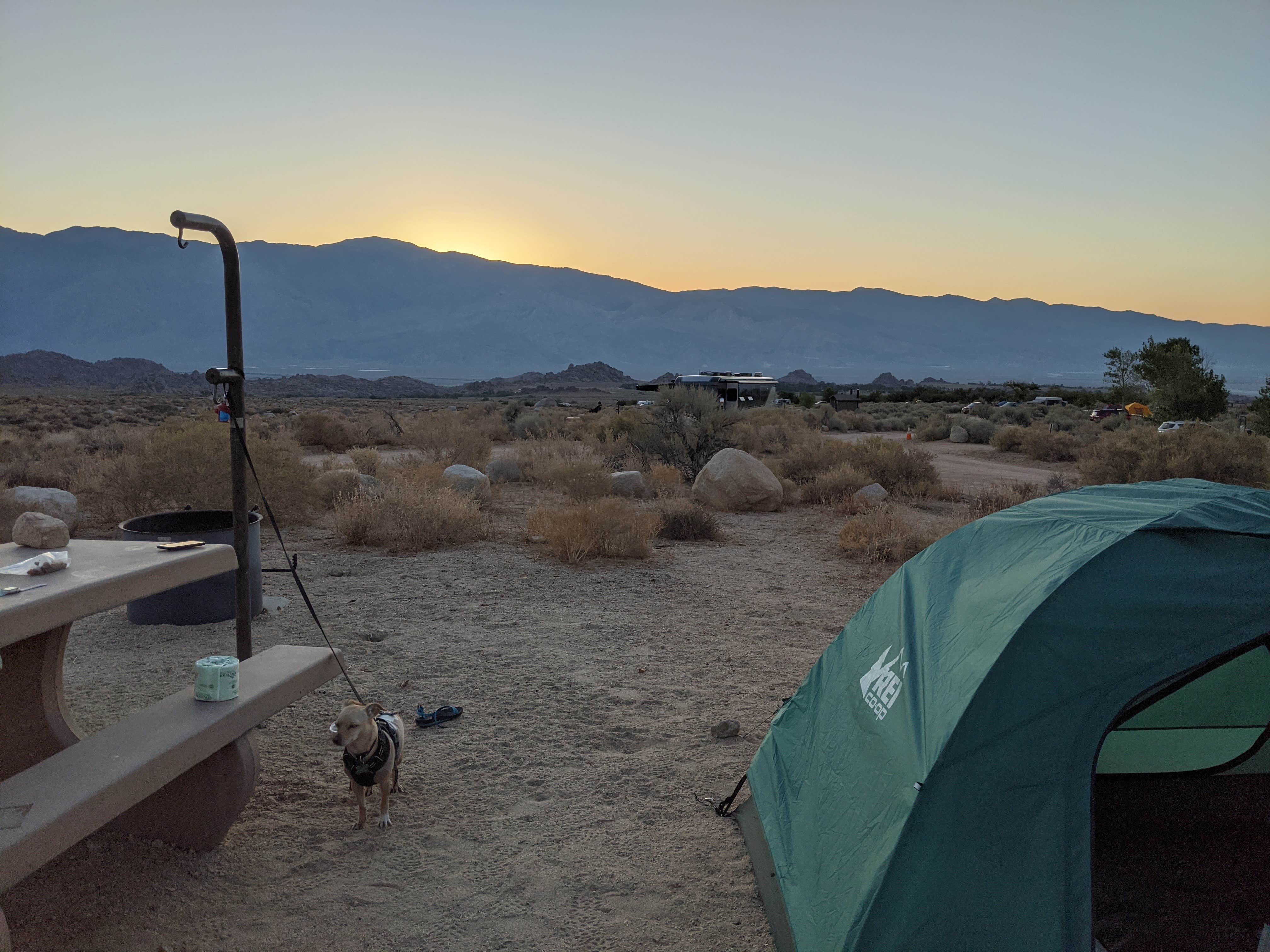 Jasmyn M.'s photo of camping with pets at Tuttle Creek Campground — Alabama Hills near Sequoia & Kings Canyon National Parks