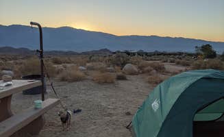 Jasmyn M.'s photo of camping with pets at Tuttle Creek Campground — Alabama Hills near Death Valley National Park