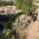 Review photo of Tuttle Creek Campground — Alabama Hills by James N., June 11, 2024