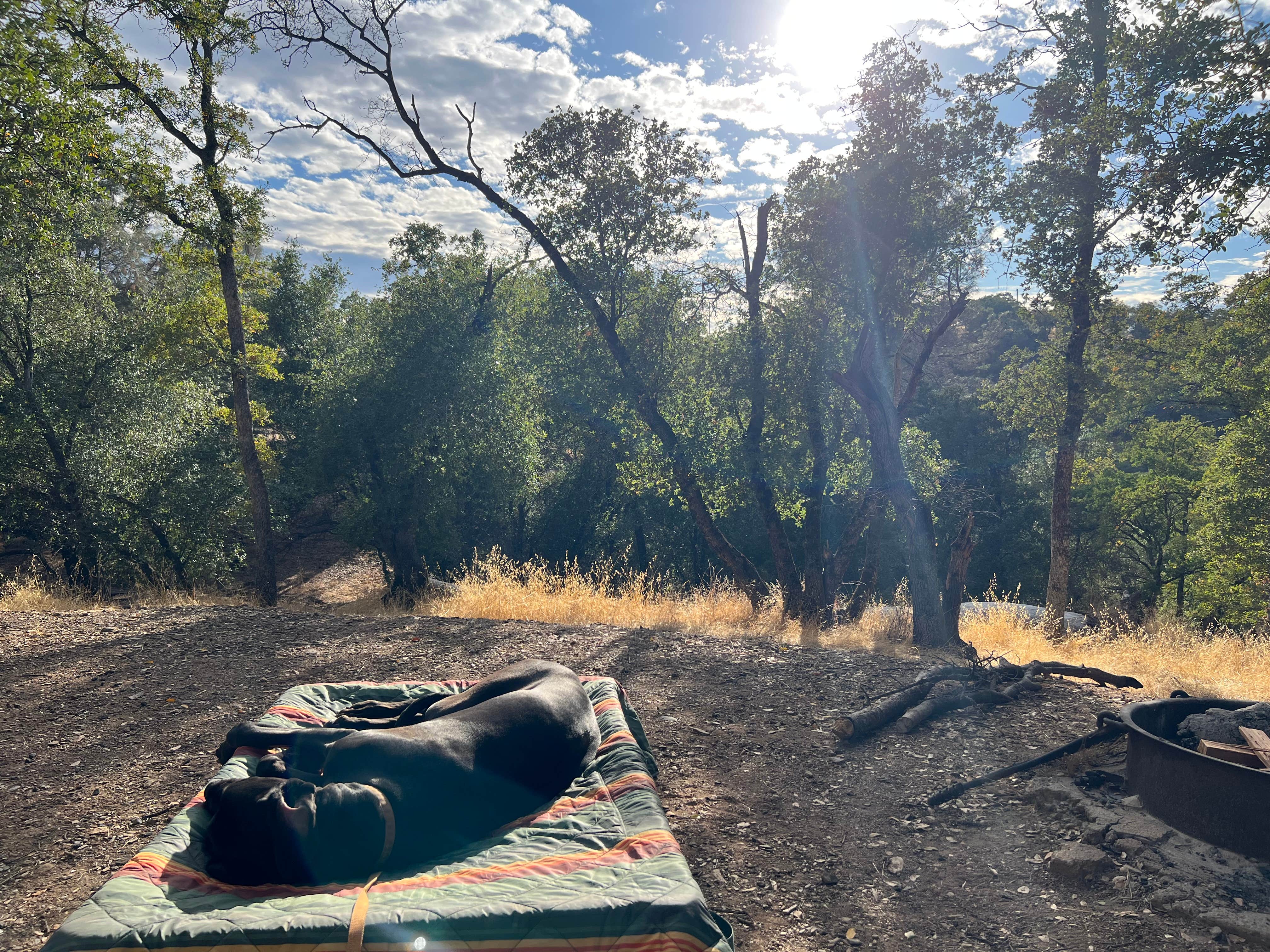 Hunter P.'s photo of glamping accommodations at Tuttletown Recreation Area near Jackson, CA