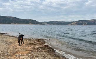 Hunter P.'s photo of camping with pets at Tuttletown Recreation Area near Columbia, CA