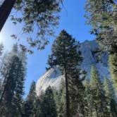 Review photo of Upper Pines Campground — Yosemite National Park by Christine W., March 9, 2025