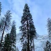 Review photo of Upper Pines Campground — Yosemite National Park by Michelle W., May 20, 2024