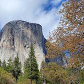 Review photo of Upper Pines Campground — Yosemite National Park by Julian M., May 25, 2024