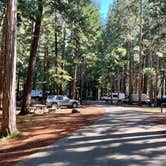 Review photo of Upper Pines Campground — Yosemite National Park by Rick L., May 14, 2025