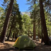 Review photo of Upper Pines Campground — Yosemite National Park by Rubén D., July 10, 2025