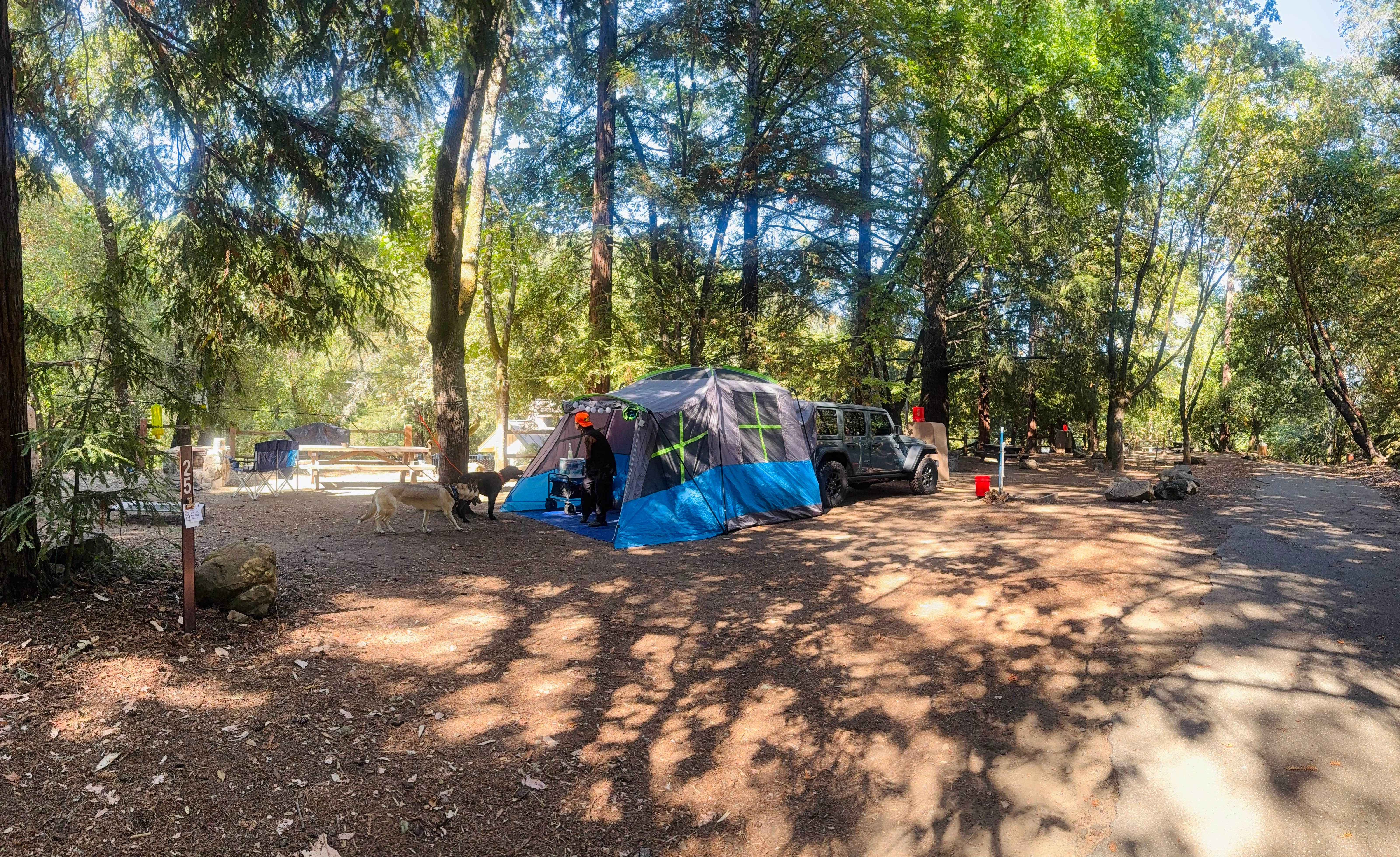 Athena J.'s photo at Uvas Canyon County Park near Los Gatos, CA