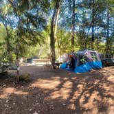 Review photo of Uvas Canyon County Park by Athena J., August 13, 2025