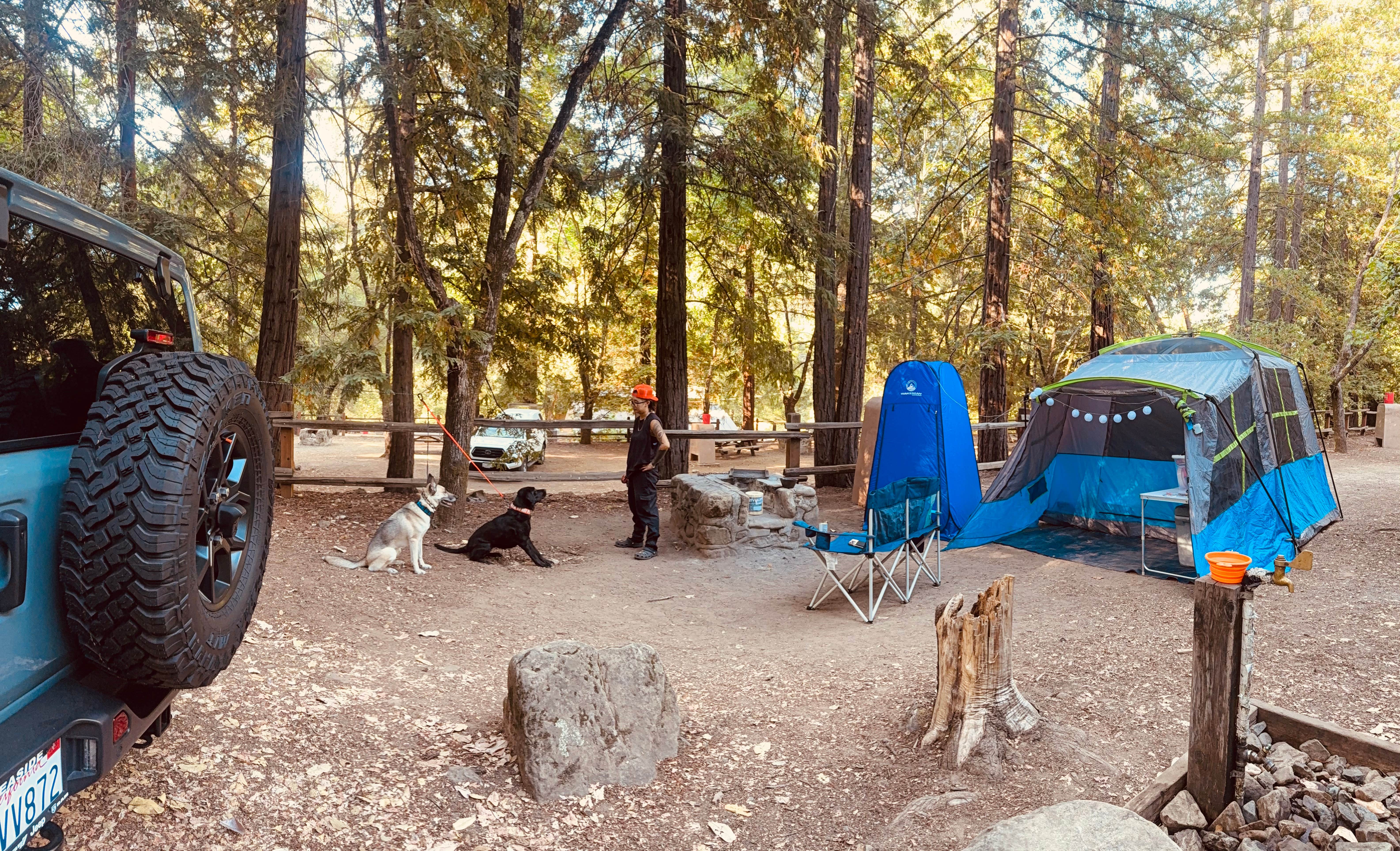 Athena J.'s photo of camping with pets at Uvas Canyon County Park near Capitola, CA