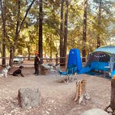 Review photo of Uvas Canyon County Park by Athena J., July 31, 2025