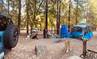 Athena J.'s photo of camping with pets at Uvas Canyon County Park near Mount Hamilton, CA